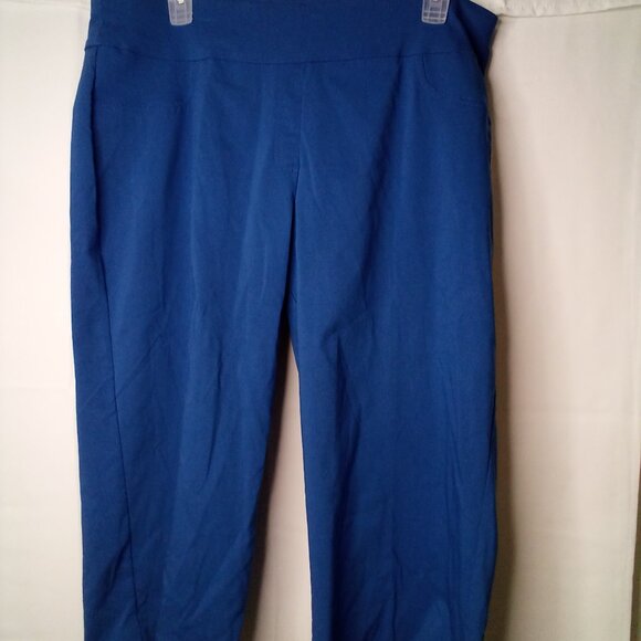 Ruby Rd Capri Pants Women 22W 22 Slimming Contour Waistband Blue - Picture 2 of 14